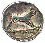 Erymanthean Boar on Roman Republican denarius